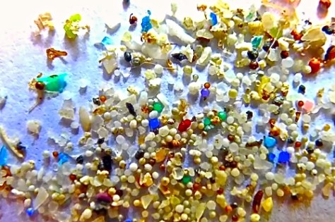 photo courtesy of 5gyres