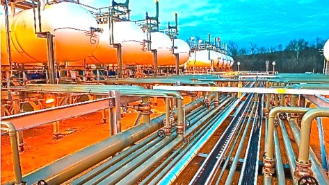 photo courtesy of news.sciencemag.org