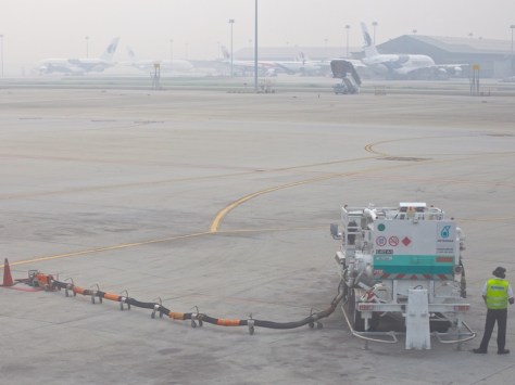 photo courtesy of Natural Couriosities